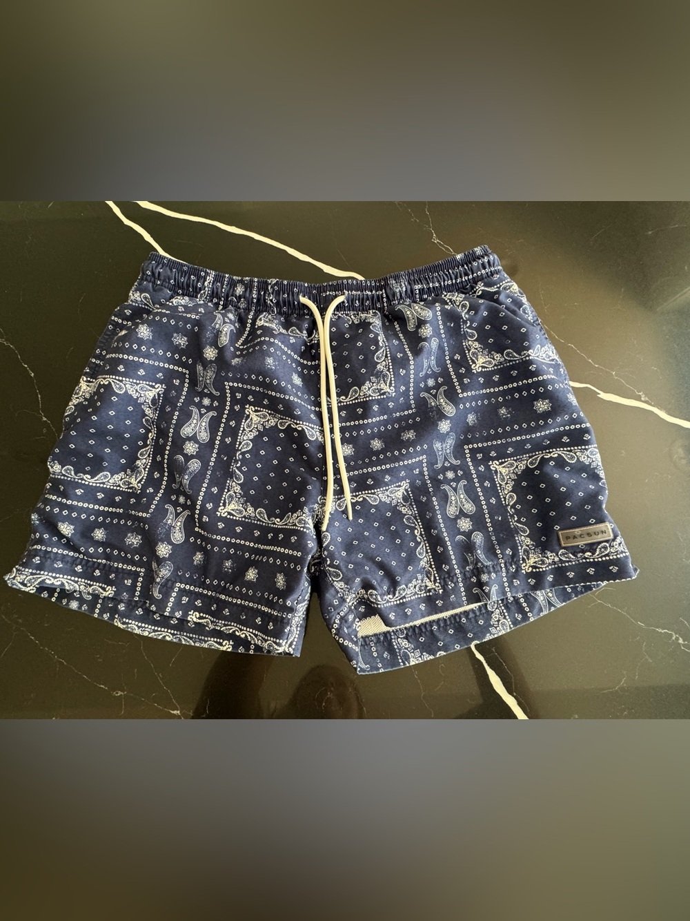 PacSun Navy Bandana Print Swim Trunks